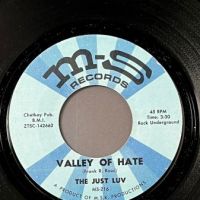 The Just Luv Valley of Hate b:w Good Good Lovin’ on MS Records 2.jpg