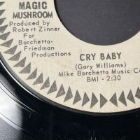 The Magic Mushroom I’m Gone on Warner Bros White Label Promo 8.jpg