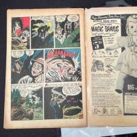 The Unseen No. 12 November 1953 published by Stand Comics 17.jpg (in lightbox)