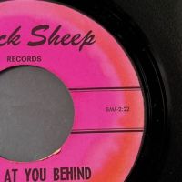 Those Guys Lookin’ At You Behind The Glasses b:w Stereopsis of A Floret on Black Sheep Records 3.jpg